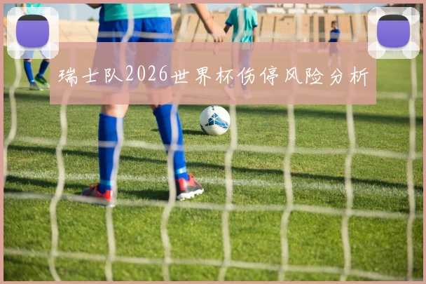 瑞士队2026世界杯伤停风险分析