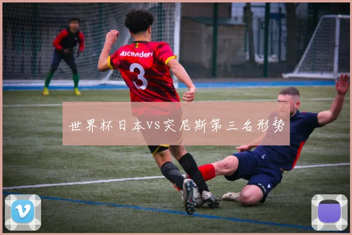世界杯日本vs突尼斯第三名形势