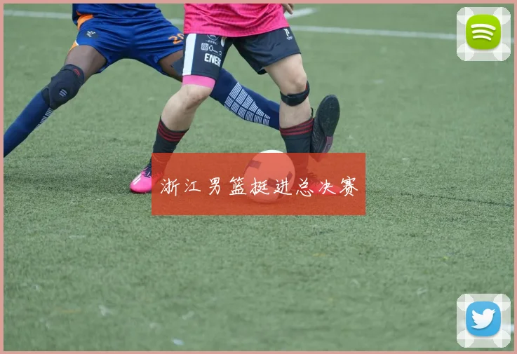 浙江男篮挺进总决赛