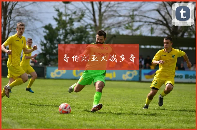 哥伦比亚大战多哥