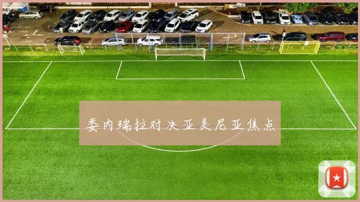 委内瑞拉对决亚美尼亚焦点