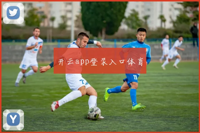 开云app登录入口体育