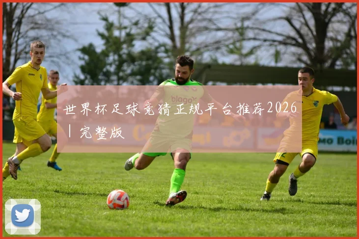 世界杯足球竞猜正规平台推荐2026｜完整版