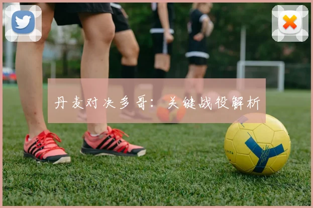 丹麦对决多哥：关键战役解析