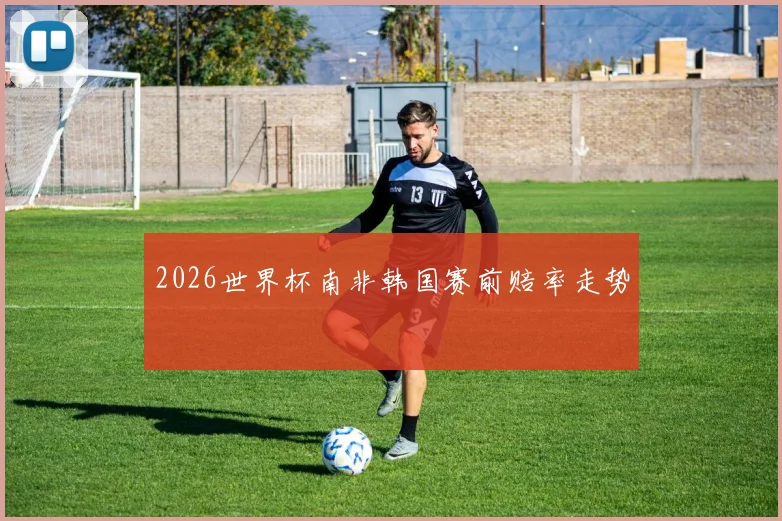 2026世界杯南非韩国赛前赔率走势