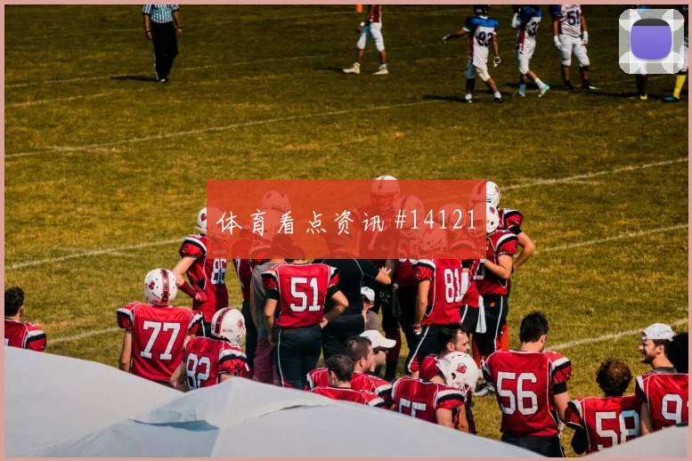 德米洛维奇面对加拿大防线关键传球能否出现价值评估