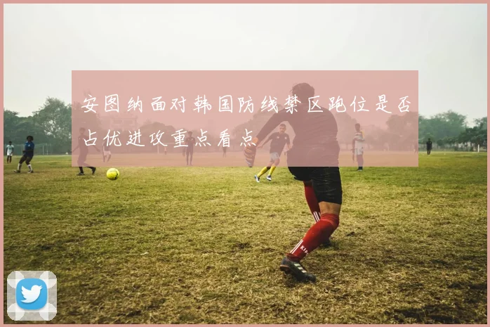 安图纳面对韩国防线禁区跑位是否占优进攻重点看点