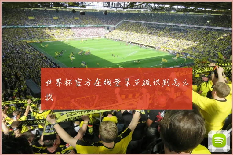 世界杯官方在线登录正版识别怎么找